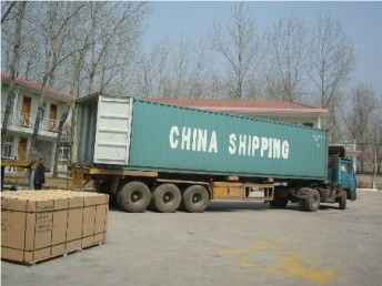 廣州至意大利國際貨運代理 專業散貨門對門服務與物流解決方案